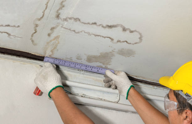 Reliable Mold Remediation contractor in Salisbury, NH by Water Damage Irwin